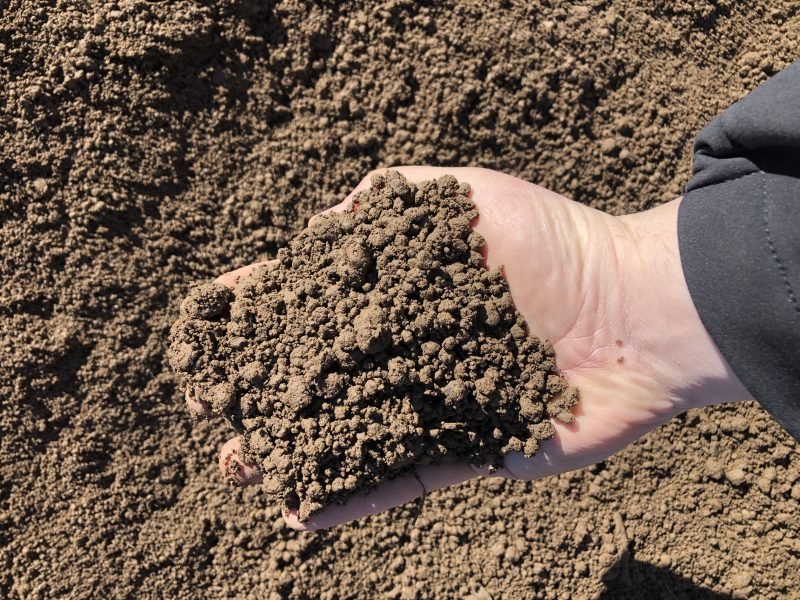 Standard Topsoil River Valley Soil