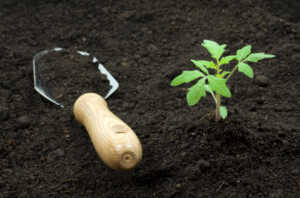 Organic Infused Topsoil